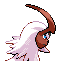 ABSOL back shiny