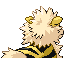 ARCANINE back shiny