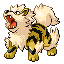 ARCANINE front shiny