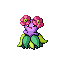 BELLOSSOM front shiny