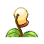 BELLSPROUT back normal