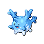 CORSOLA front shiny