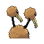 DODUO back normal