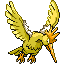 FEAROW front shiny