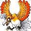 HO-OH front shiny