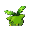 HOPPIP back shiny