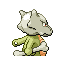 MAROWAK back shiny