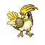 PIDGEOTTO front shiny