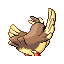 PIDGEY back normal
