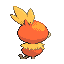 TORCHIC back normal