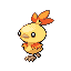 TORCHIC front shiny