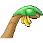 TROPIUS back normal